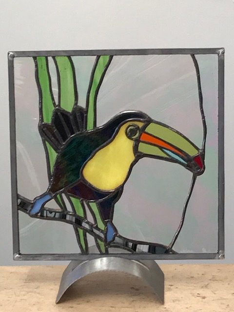 Rainbow Bill Toucan