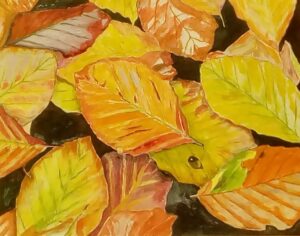 Alan Bowman - Autumn Colours